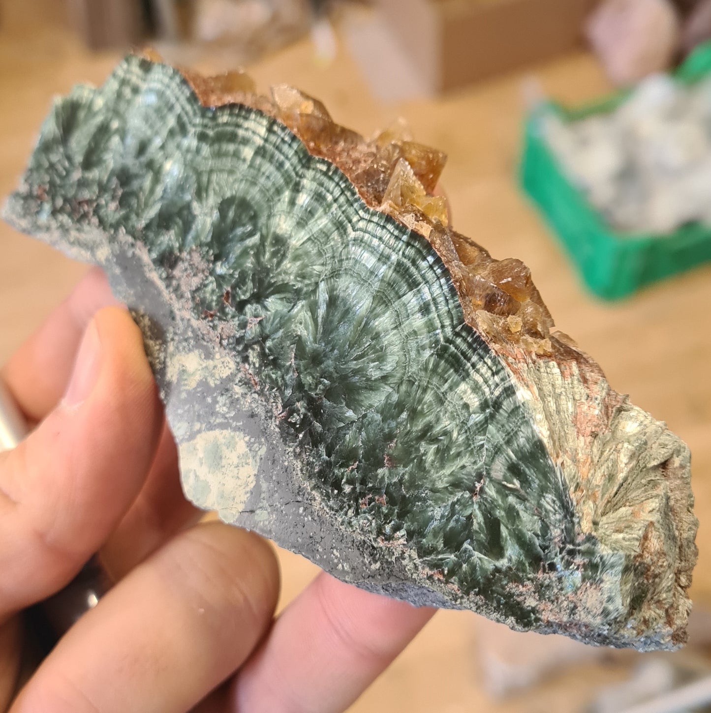 Seraphinite plates