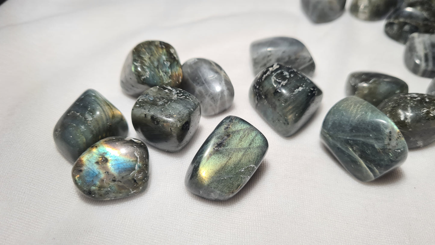 Pierres roulées de Labradorite (lots de 5)